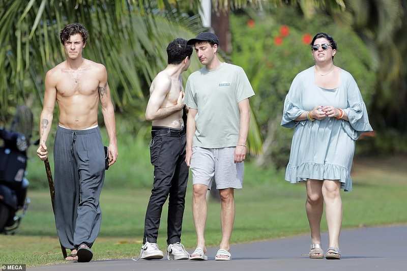 SHAWN MENDES SHIRTLESS IN HAWAII